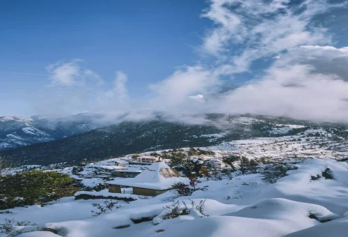 Best Manali Tour
