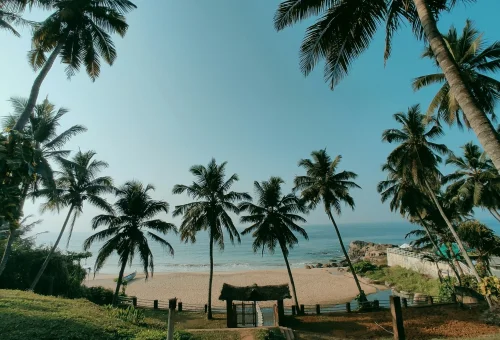 Best Kovalam Tour