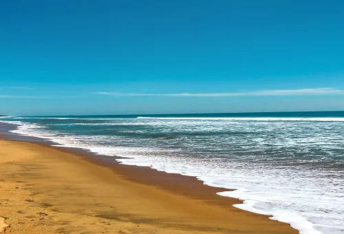 Best Mahabalipuram Tour
