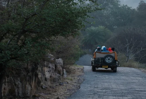 Best Rathambore Tour