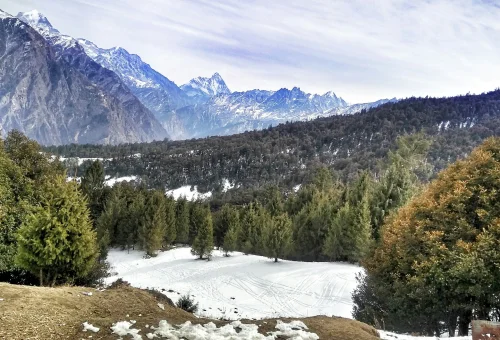 Best Joshimath Tour