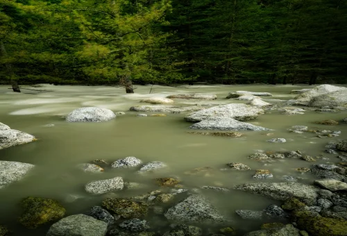Best Sangla Tour