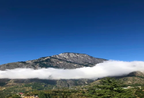 Best Kullu Tour