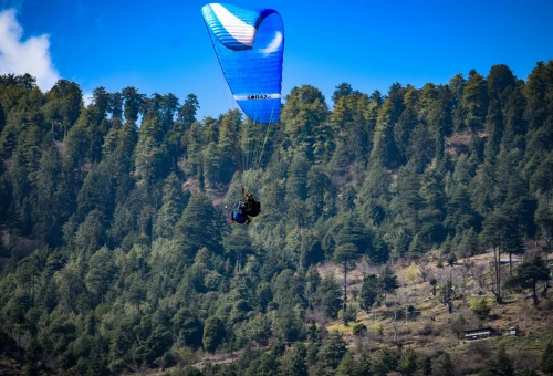 Best Kullu Tour
