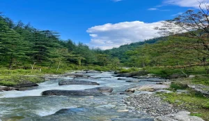 Kullu
