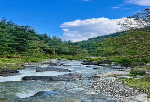 Best Kullu Tour