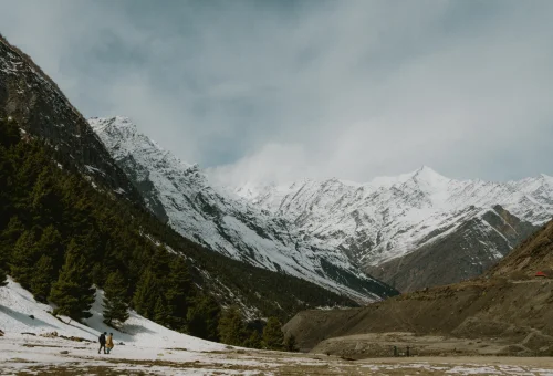 Best Yangla Tour