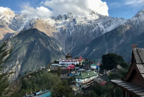 Best Yangla Tour