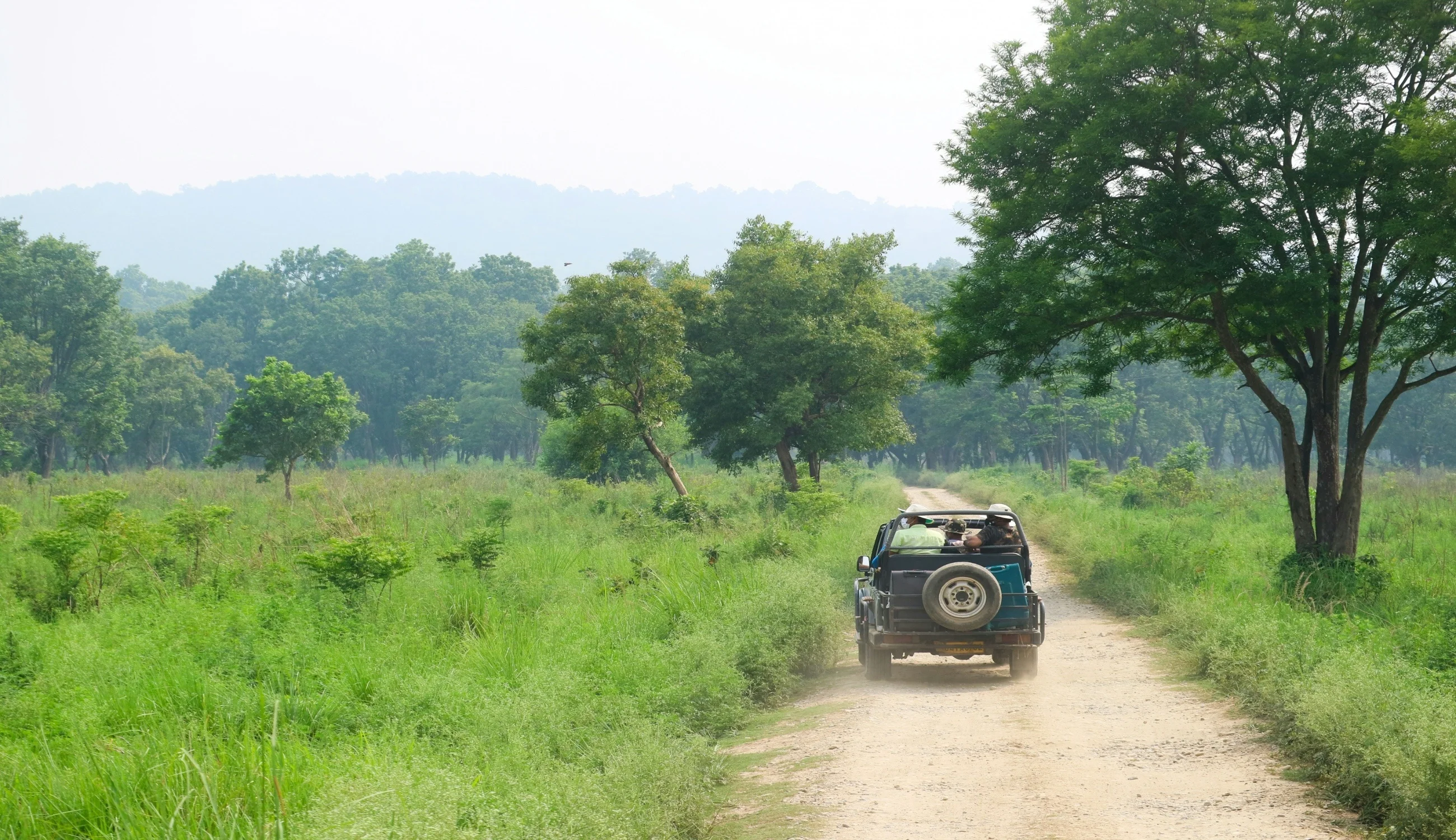 Sariska