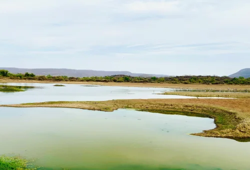 Sariska