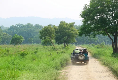 Best Sariska Tour
