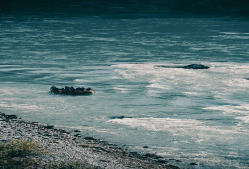 Rishikesh