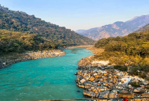 Best Rishikesh Tour
