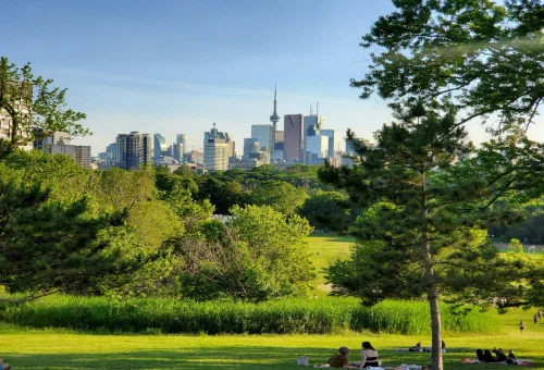 Best Toronto Best