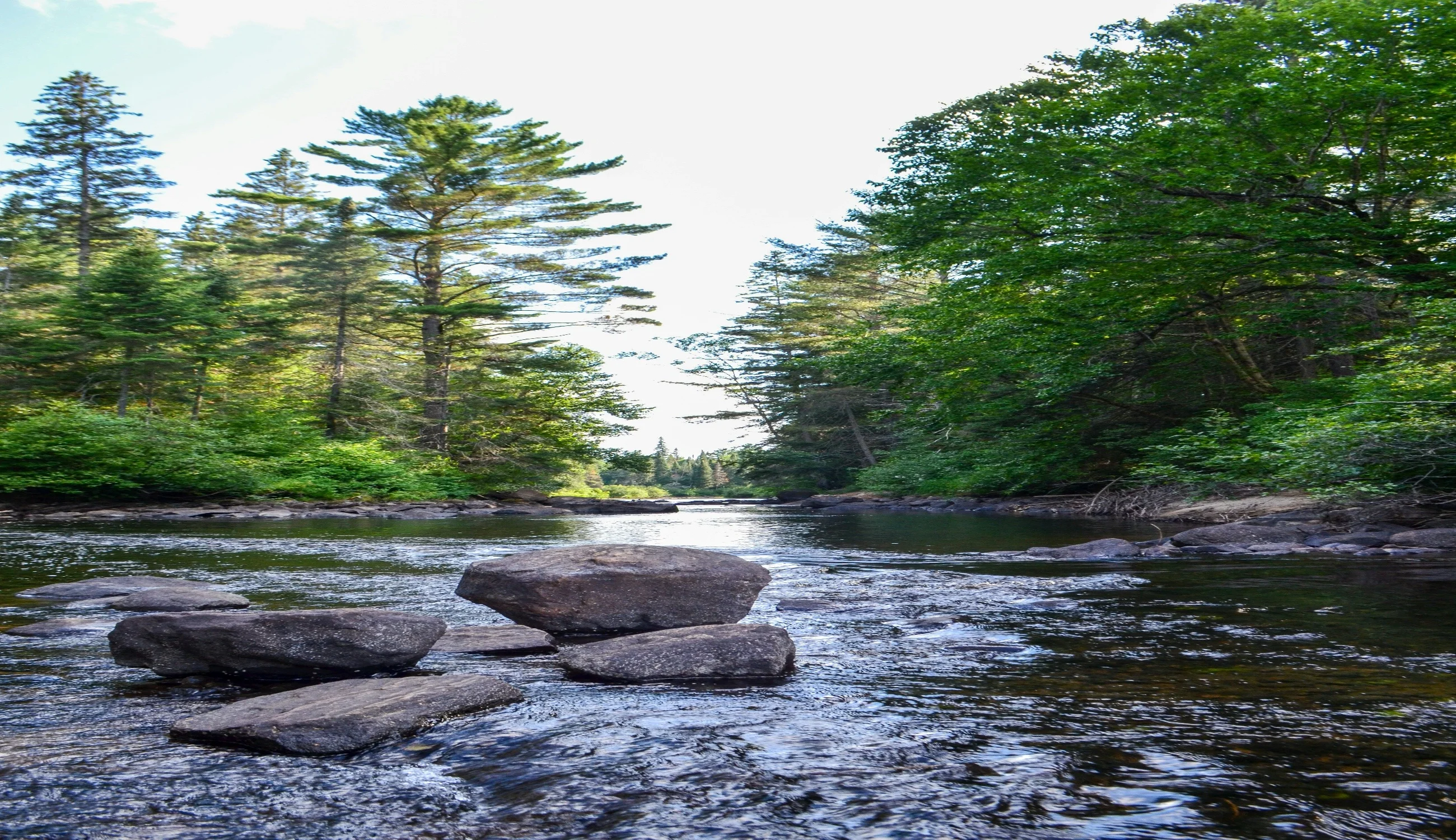 Algonquin Provincial Park