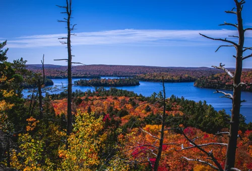 Best Algonquin-Provincial-Park Tour