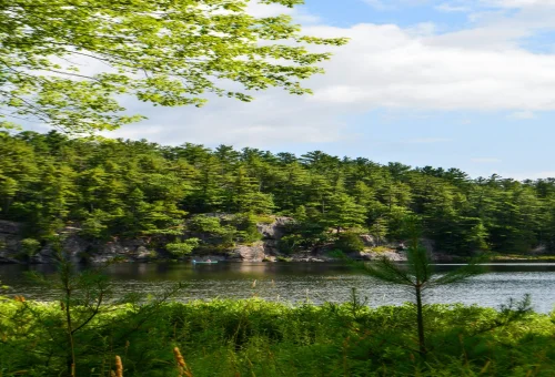 Best Algonquin-Provincial-Park Tour