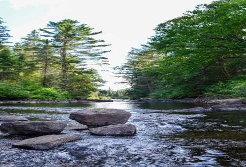 Best Algonquin-Provincial-Park Tour