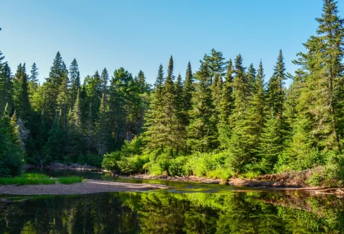 Algonquin-Provincial-Park