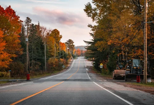 Best Algonquin-Provincial-Park Tour