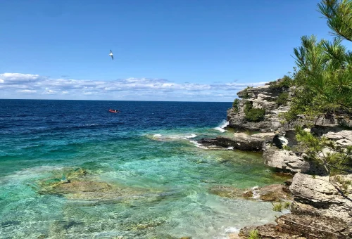Best Tobermory Tour