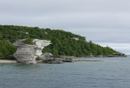 Best Flowerpot-Island Tour