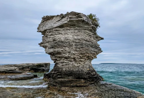 Best Flowerpot-Island Tour