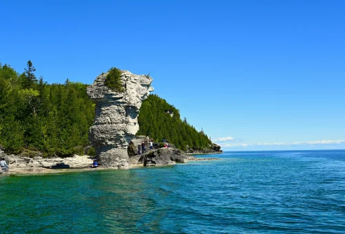 Best Flowerpot-Island Tour
