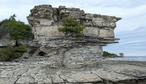 Flowerpot Island