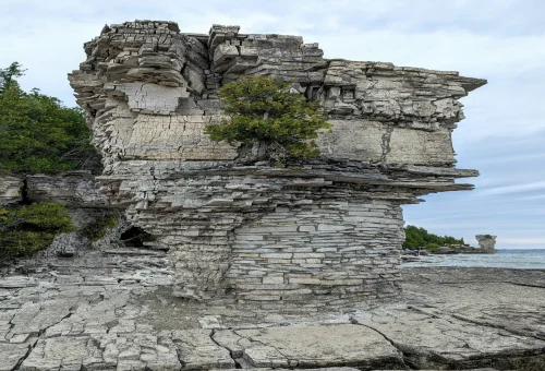 Best Flowerpot-Island Tour