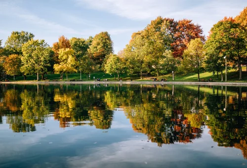 Best Montreal Tour