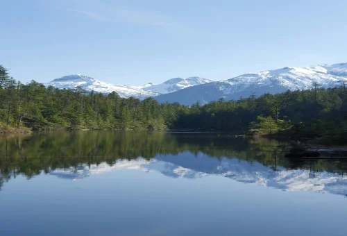 Best Blue Mountain Tour