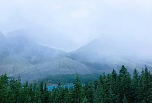 Best Blue Mountain Tour