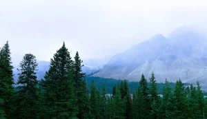 Blue Mountain