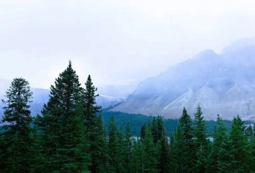 Best Blue Mountain Tour