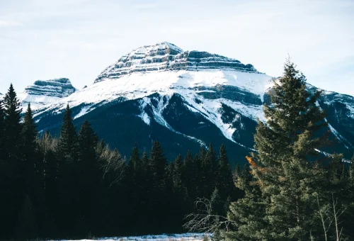 Best Blue Mountain Tour