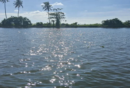 Kumarakom