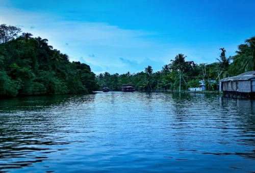 Best Kumarakom Tour