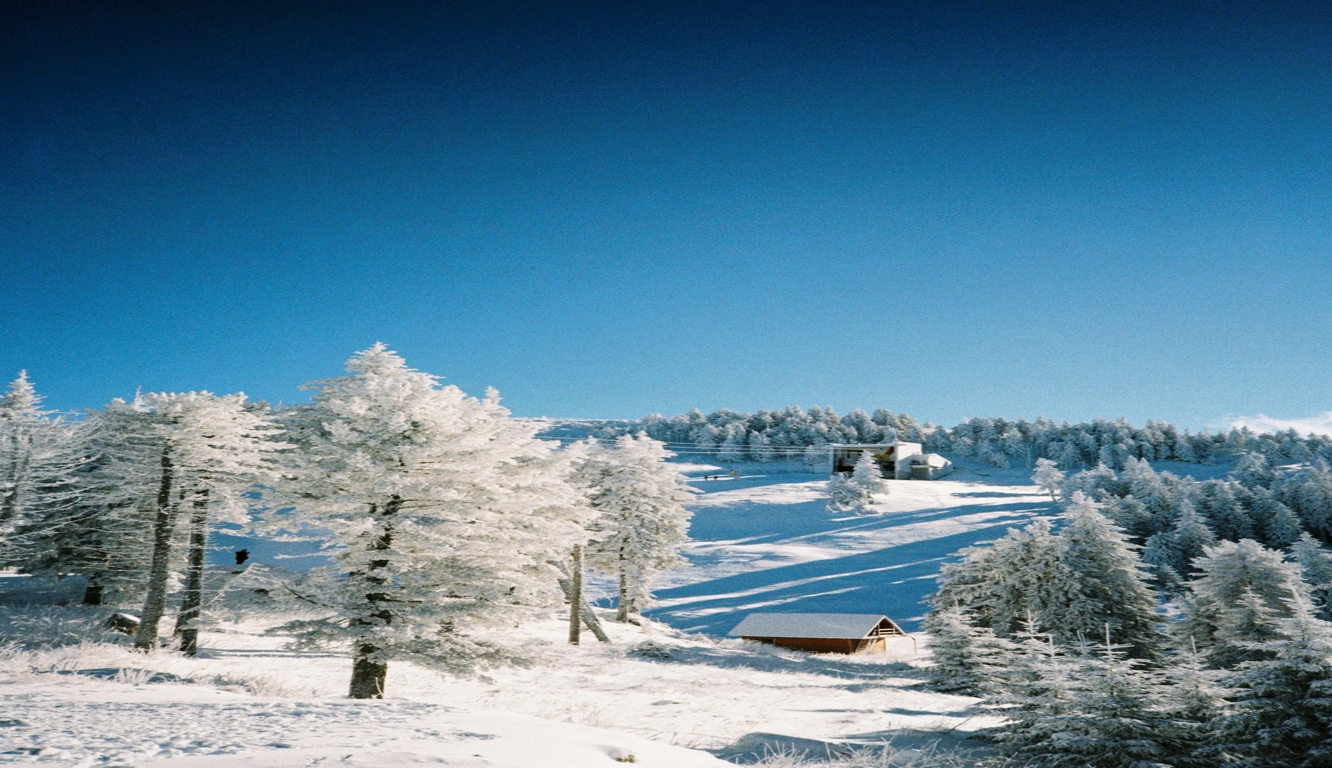 Blue Mountain Resort