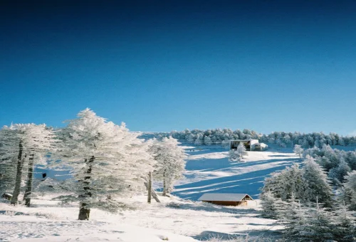 Blue Mountain Resort