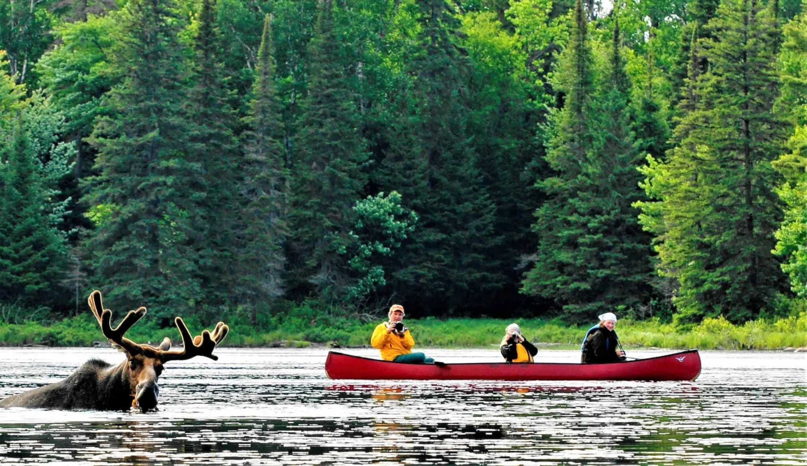 Agonquin Provincial Park (Backcountry / Canoe camping)