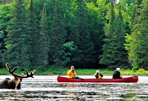 Agonquin Provincial Park (Backcountry / Canoe camping)