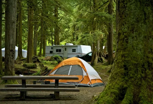 Agonquin Provincial Park (Campground /Car camping)
