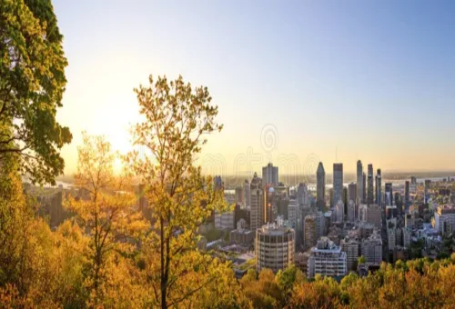 Montréal Mount Royal for panoramic views of