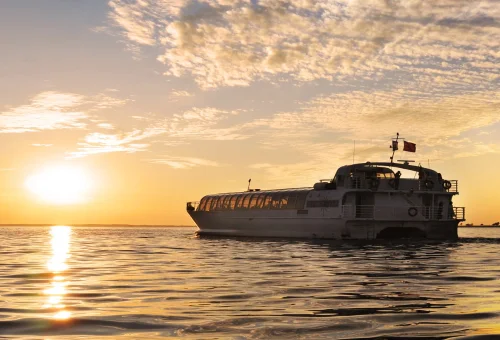 Thousand Islands-Sunset Sightseeing Cruise
