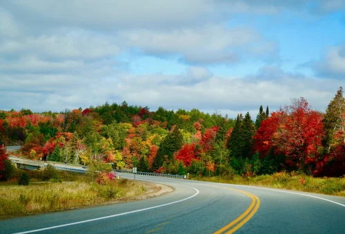 Best Muskoka Tour.