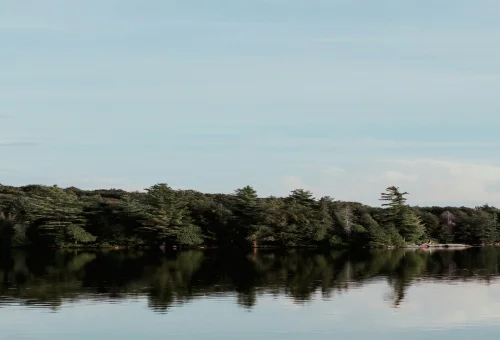 Best Muskoka Tour