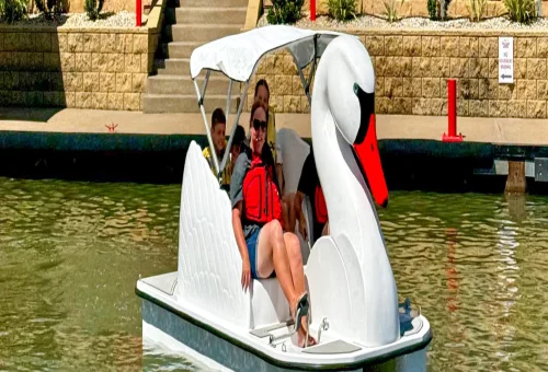 Paddle Boat / Swan Paddle Boat - Santa's Village