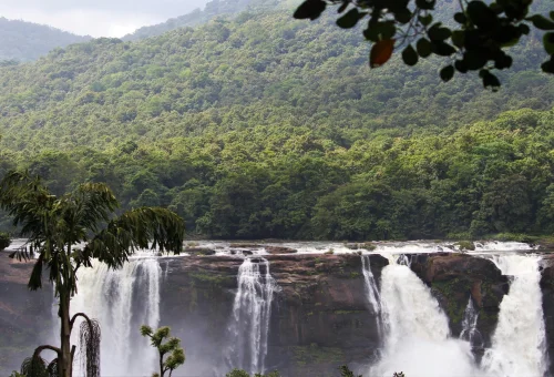 Best Athirapally Tour