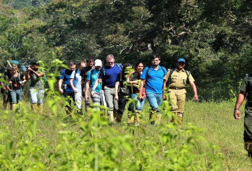 Jungle Patrol Trekkingin Thekkady